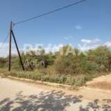  For Sale - (€ 0 / m2), Agricultural 3291 m2 Volos 7937125 thumb5