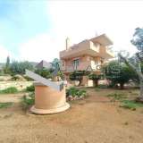  (For Sale) Residential Detached house || East Attica/Kalyvia-Lagonisi - 165 Sq.m, 2 Bedrooms, 600.000€ Lagonisi 8037175 thumb0