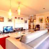  Modern 3-bedroom apartment in the green district Vitosha Sofia city 8037196 thumb0