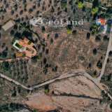  For Sale - (€ 0 / m2), Agricultural 7000 m2 Kranidi 8137234 thumb6