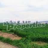  Large flat plot of investment land near Sofia Ravno Pole village 5937029 thumb5