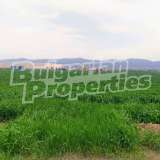  Large flat plot of investment land near Sofia Ravno Pole village 5937029 thumb4