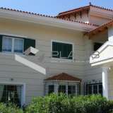  (For Rent) Residential Detached house || East Attica/Pallini - 450 Sq.m, 5 Bedrooms, 2.700€ Athens 8137384 thumb4