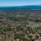  For Sale - (€ 0 / m2), Agricultural 22185 m2 Kranidi 7937088 thumb0