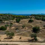  For Sale - (€ 0 / m2), Agricultural 6500 m2 Kranidi 7937095 thumb2