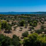  For Sale - (€ 0 / m2), Agricultural 6500 m2 Kranidi 7937095 thumb0