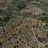  For Sale - (€ 0 / m2), Agricultural 6500 m2 Kranidi 7937095 thumb1