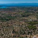  For Sale - (€ 0 / m2), Agricultural 6500 m2 Kranidi 7937095 thumb4