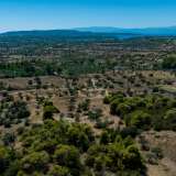 For Sale - (€ 0 / m2), Agricultural 6500 m2 Kranidi 7937095 thumb7