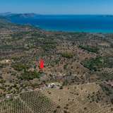  For Sale - (€ 0 / m2), Agricultural 6500 m2 Kranidi 7937095 thumb3