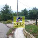  (For Sale) Land Plot || East Attica/Stamata - 1.140 Sq.m, 380.000€ Athens 8038221 thumb2