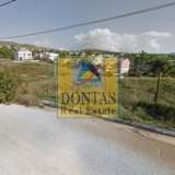  (For Sale) Land Plot || Athens North/Penteli - 1.400 Sq.m, 675.000€ Penteli 8038224 thumb2