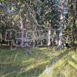  Hotel with 4 buildings and a large yard in the village of Panichishte Panichishte village 7938315 thumb28