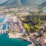   Tivat 5738375 thumb8