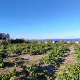  (For Sale) Land Plot || Cyclades/Santorini-Thira - 2.000 Sq.m, 1.500.000€ Santorini (Thira) 7638502 thumb0