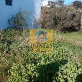  (For Sale) Land Plot || Cyclades/Tinos-Exomvourgo - 310 Sq.m, 180.000€ Tinos 8138582 thumb4
