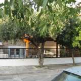   Volos 6138598 thumb12