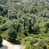  For Sale - (€ 0 / m2), Agricultural 5453 m2 Lefkada 8138085 thumb8