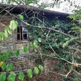  Old house with a large garden in the village of Balkantsi  Veliko Tarnovo city 6738089 thumb6