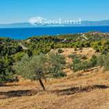  For Sale - (€ 0 / m2), Agricultural 32636 m2 Kranidi 8038090 thumb1