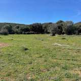 For Sale - (€ 0 / m2), Agricultural 5854 m2 Lefkada 8139174 thumb4