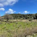  For Sale - (€ 0 / m2), Agricultural 5854 m2 Lefkada 8139174 thumb5