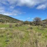  For Sale - (€ 0 / m2), Agricultural 5854 m2 Lefkada 8139174 thumb6