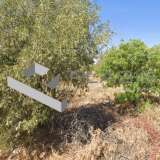  (For Sale) Land Plot || Piraias/Salamina - 512 Sq.m, 85.000€ Salamís 8139217 thumb0