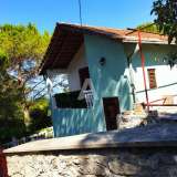  House 100m2 in Zagora, municipality of Kotor (long term) Zagora 8139225 thumb1