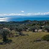  For Sale - (€ 0 / m2), Agricultural 22876 m2 Kranidi 8039389 thumb2