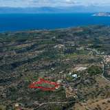  For Sale - (€ 0 / m2), Agricultural 8020 m2 Kranidi 8039412 thumb1