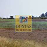  (For Sale) Land Agricultural Land  || East Attica/Marathonas - 40.000 Sq.m, 5.200.000€ Marathon 8139450 thumb5