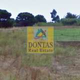  (For Sale) Land Agricultural Land  || East Attica/Marathonas - 40.000 Sq.m, 5.200.000€ Marathon 8139450 thumb2