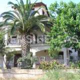  (For Rent) ResidentialDetached house || East Attica/Rafina - 300,00Sq.m, 3Bedrooms, 2.000€ Rafina 4439452 thumb12