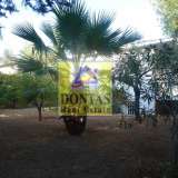  (For Sale) Land Plot || Athens North/Psychiko - 1.125 Sq.m, 4.300.000€ Athens 8139452 thumb5
