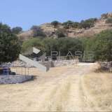 (For Sale) Land Agricultural Land  || Dodekanisa/Nisyros - 5.065 Sq.m, 350.000€ Nisyros 8039535 thumb0