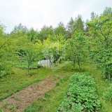 Дом в лесу на 10 сот. в СТ «Михалковичи» в 50 км. от МКАД Логойск 7839760 thumb22