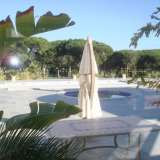   Lagoa (Central Algarve) 3539837 thumb13
