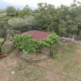  For Sale - (€ 0 / m2), Agricultural 7800 m2 Prosotsani 8139948 thumb3