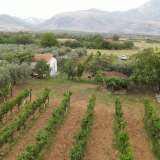  For Sale - (€ 0 / m2), Agricultural 7800 m2 Prosotsani 8139948 thumb6