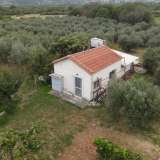  For Sale - (€ 0 / m2), Agricultural 7800 m2 Prosotsani 8139948 thumb1