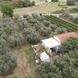  For Sale - (€ 0 / m2), Agricultural 7800 m2 Prosotsani 8139948 thumb0