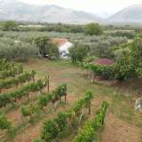  For Sale - (€ 0 / m2), Agricultural 7800 m2 Prosotsani 8139948 thumb5