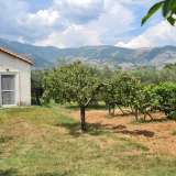  For Sale - (€ 0 / m2), Agricultural 7800 m2 Prosotsani 8139948 thumb8