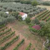  For Sale - (€ 0 / m2), Agricultural 7800 m2 Prosotsani 8139948 thumb4