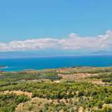  For Sale - (€ 0 / m2), Agricultural 31000 m2 Kranidi 8139995 thumb5