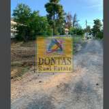  (For Sale) Land Plot || East Attica/Dionysos - 800 Sq.m, 365.000€ Dionysos 8104221 thumb1