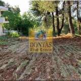  (For Sale) Land Plot || East Attica/Dionysos - 800 Sq.m, 365.000€ Dionysos 8104221 thumb2