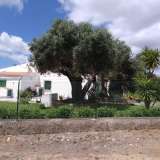   Algoz e Tunes (Centraal Algarve) 8004278 thumb0