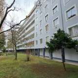  Sanierungsbedürftige 2-Zimmer Wohnung beim Hamerlingpark! Wien 8104546 thumb7